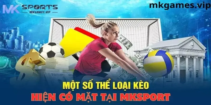 Tổng hợp kèo cá cược bóng chuyền tại mksport